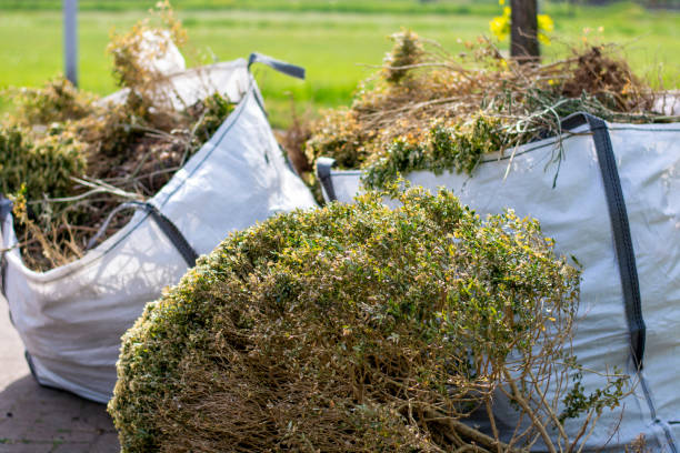 Best Yard Cleanup Services  in Vance, AL
